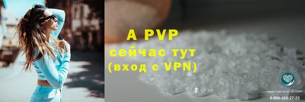 ПСИЛОЦИБИНОВЫЕ ГРИБЫ Кулебаки
