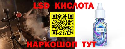 МДПВ Камышлов