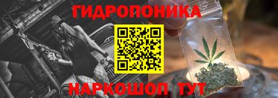 сатива Канаш