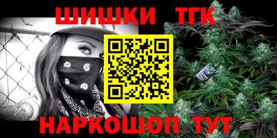 МДПВ Камышлов