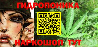 МДПВ Камышлов