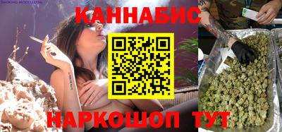 МДПВ Камышлов