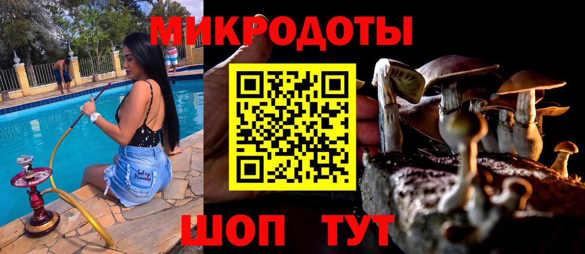 даркнет сайт  Галлюциногенные грибы Psilocybe  Вход с VPN  Мелеуз 